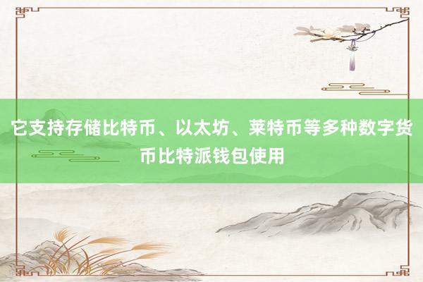 它支持存储比特币、以太坊、莱特币等多种数字货币比特派钱包使用