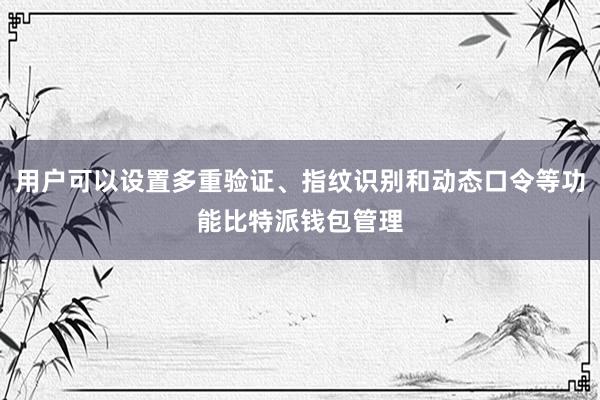 用户可以设置多重验证、指纹识别和动态口令等功能比特派钱包管理