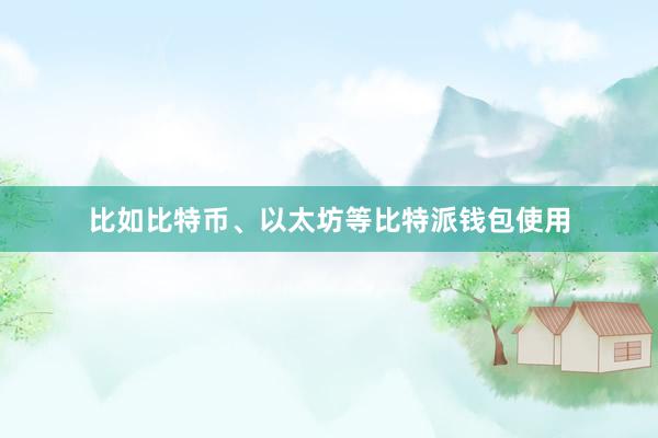 比如比特币、以太坊等比特派钱包使用