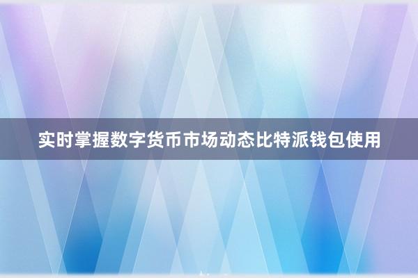 实时掌握数字货币市场动态比特派钱包使用