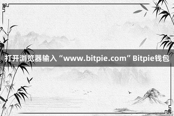 打开浏览器输入“www.bitpie.com”Bitpie钱包