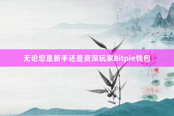 无论您是新手还是资深玩家Bitpie钱包