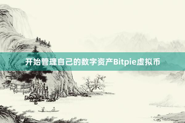 开始管理自己的数字资产Bitpie虚拟币