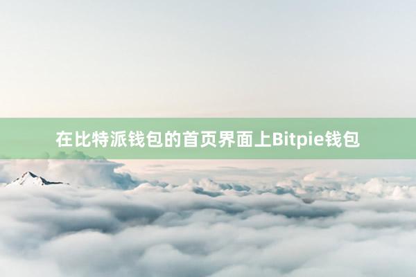 在比特派钱包的首页界面上Bitpie钱包