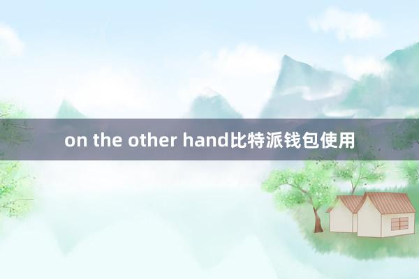 on the other hand比特派钱包使用