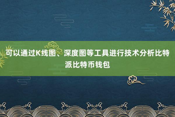 可以通过K线图、深度图等工具进行技术分析比特派比特币钱包