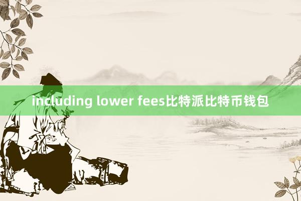 including lower fees比特派比特币钱包