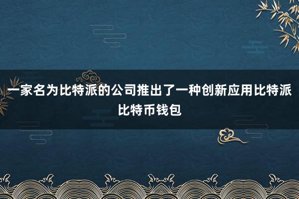 一家名为比特派的公司推出了一种创新应用比特派比特币钱包