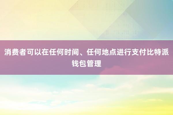 消费者可以在任何时间、任何地点进行支付比特派钱包管理