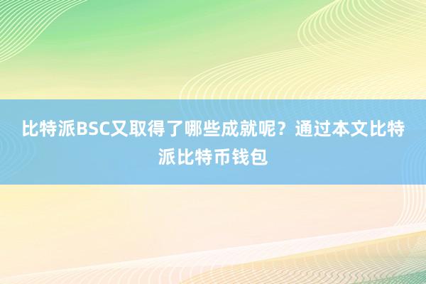 比特派BSC又取得了哪些成就呢？通过本文比特派比特币钱包