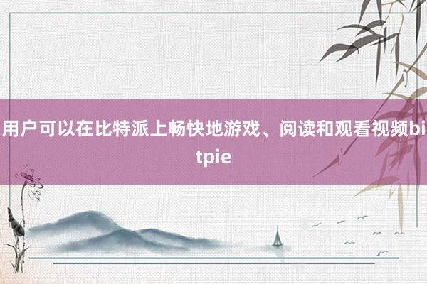 用户可以在比特派上畅快地游戏、阅读和观看视频bitpie