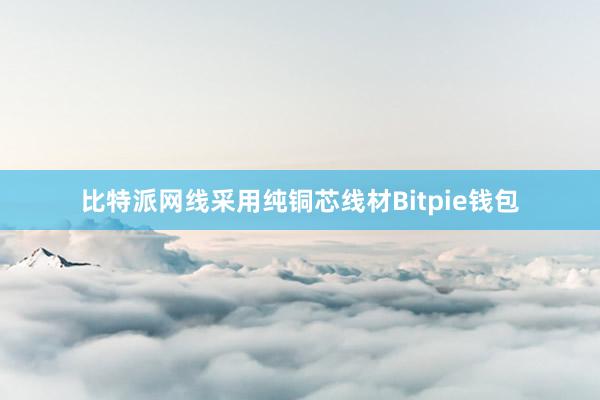 比特派网线采用纯铜芯线材Bitpie钱包