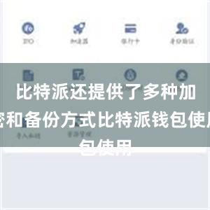 比特派还提供了多种加密和备份方式比特派钱包使用