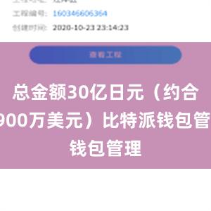 总金额30亿日元（约合1900万美元）比特派钱包管理