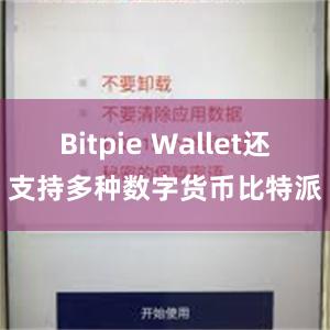 Bitpie Wallet还支持多种数字货币比特派