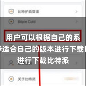 用户可以根据自己的系统选择适合自己的版本进行下载比特派